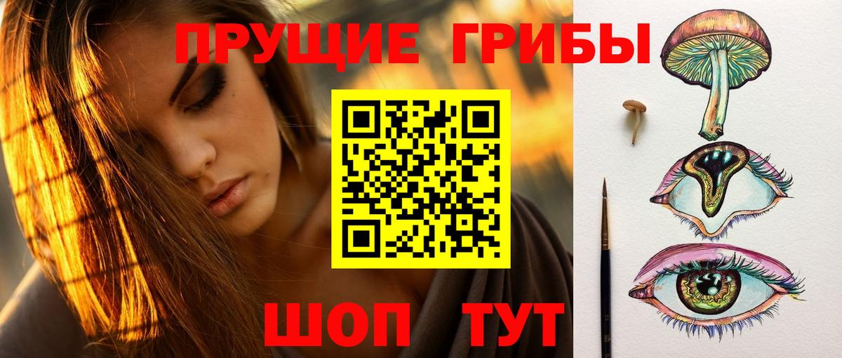 Черногорск  Галлюциногенные грибы Cubensis  Вход с VPN 